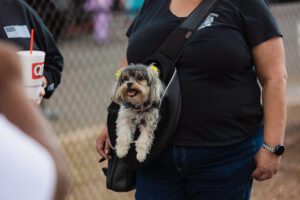 A woman holding her dog in a bag.