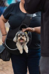 A woman holding her dog in a bag.